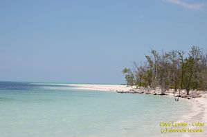 cayo levisa